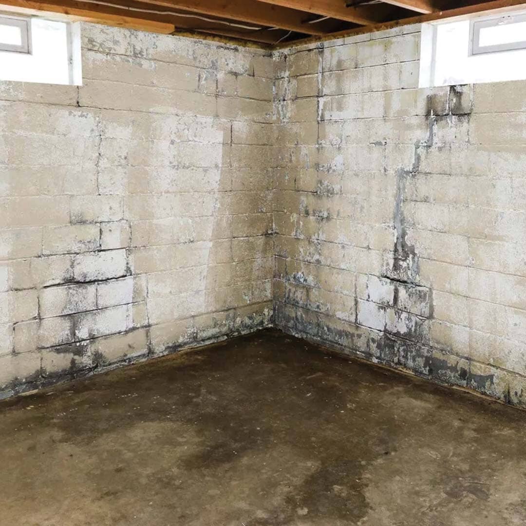 Leaking Basement with Moisture and Mold