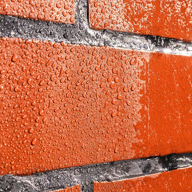 SEMCO Natural Shield: The Ultimate Waterproofing Sealer
