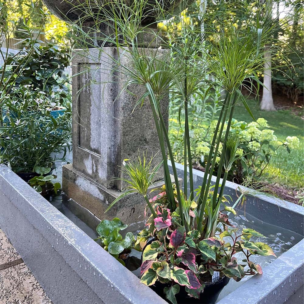 Exterior concrete fountain with SEMCO liquid Membrane waterproofing