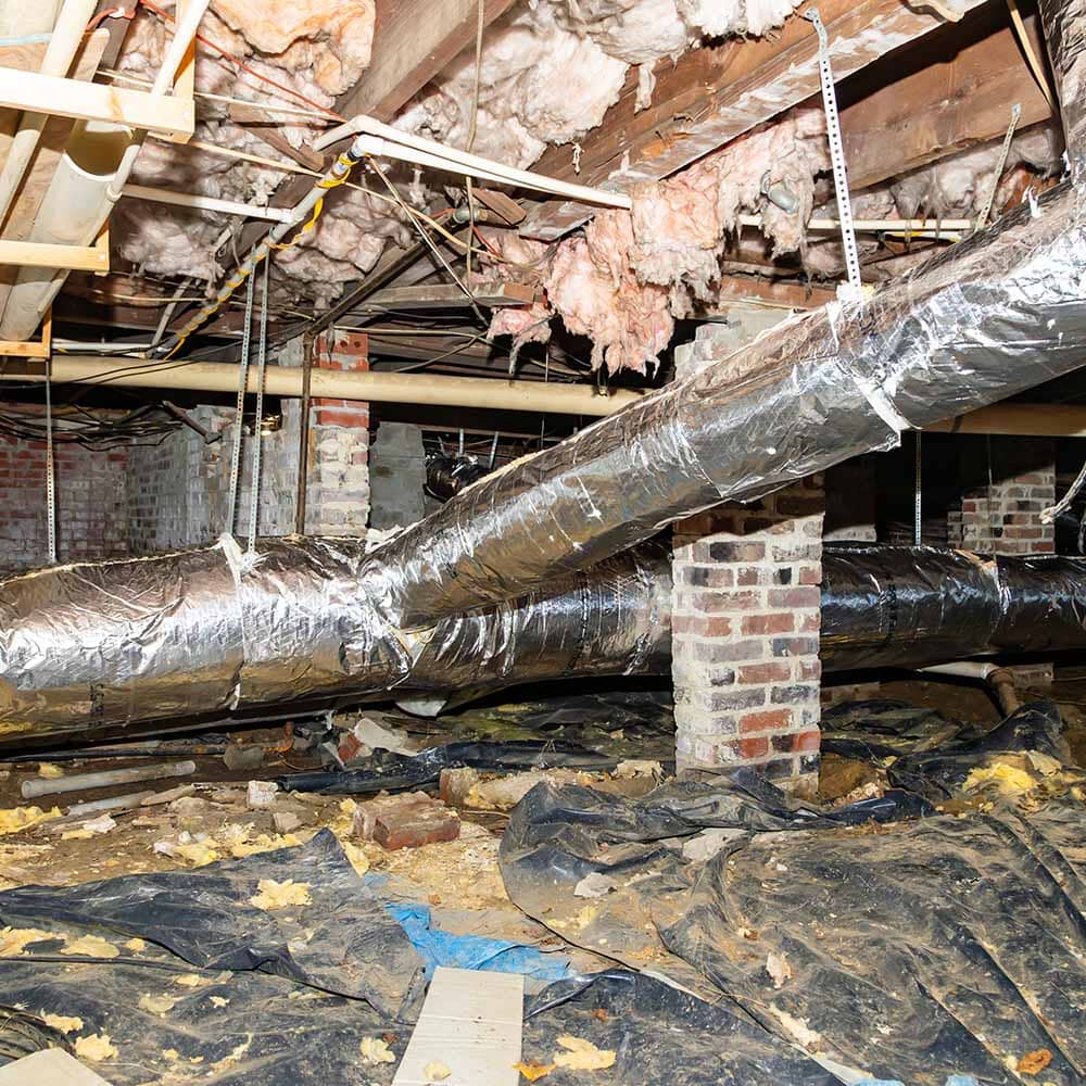 The Hidden Consequences of Neglecting Your Crawlspace